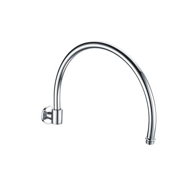 Stainless steel ceiling arm